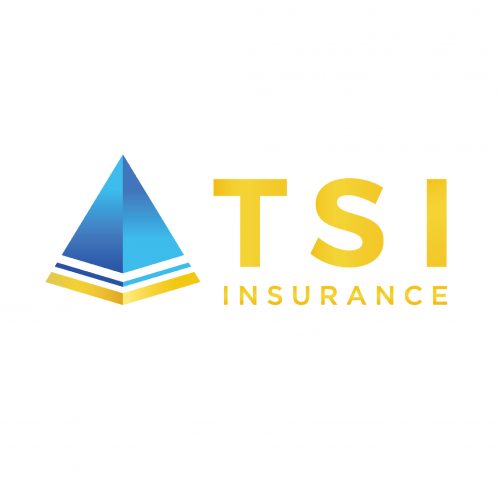 logo insurer-14